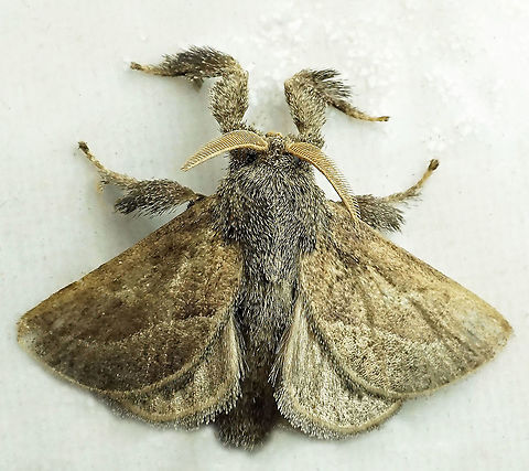 #824 Dapa, Valle Del Cauca
2100m