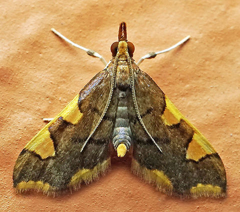 #832 Dapa, Valle Del Cauca
2100m