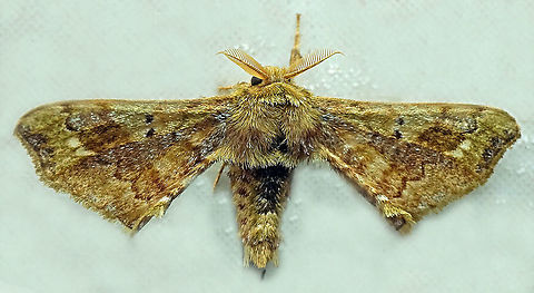 #842 Dapa, Valle Del Cauca
2100m