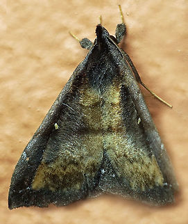 #849 Dapa, Valle Del Cauca
2100m