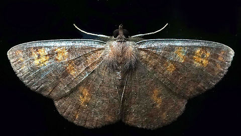 #858 Dapa, Valle Del Cauca
2100m