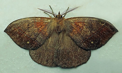 #859 Dapa, Valle Del Cauca
2100m