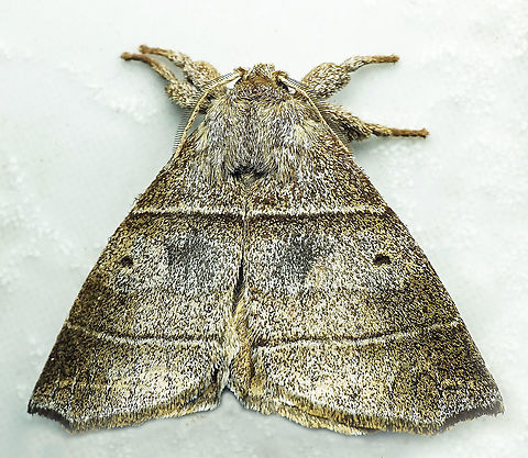 #882 Dapa, Valle Del Cauca
2100 m