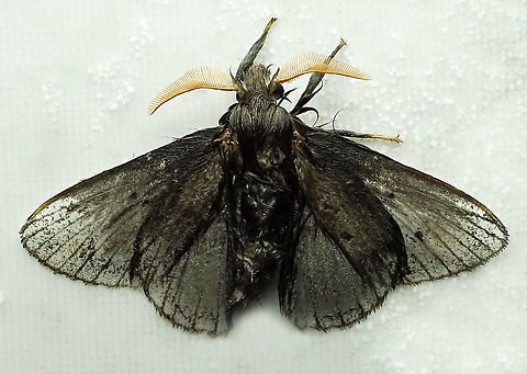 #889 Dapa, Valle Del Cauca
2100 m