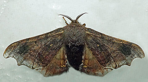 #951 Dapa, Valle Del Cauca
2100 m