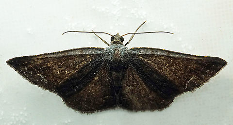 #958 Dapa, Valle Del Cauca
2100 m