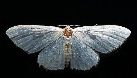 #966 Dapa, Valle Del Cauca
2100 m