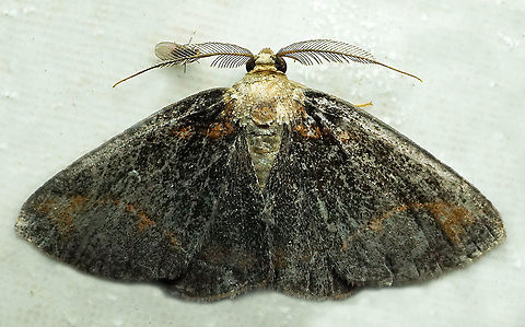 #1006 Dapa, Valle Del Cauca
2100 m