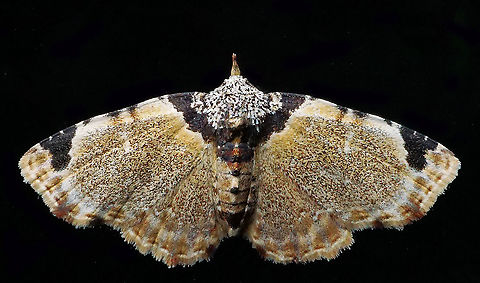 #1017 Dapa, Valle Del Cauca
2100 m