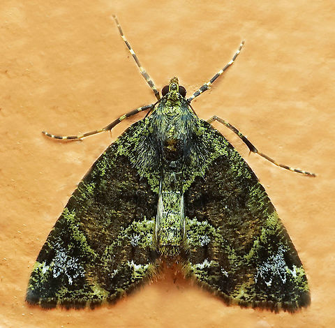 #1023 Dapa, Valle Del Cauca
2100 m