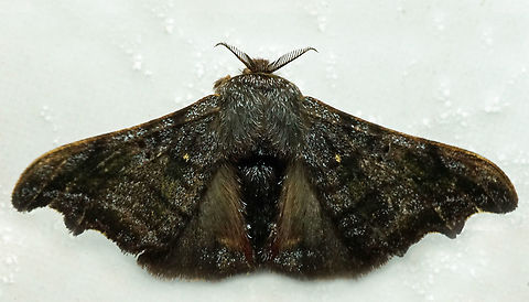 #1093 Dapa, Valle Del Cauca
2100m