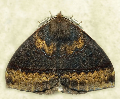 #1156 Dapa, Valle Del Cauca
2100m