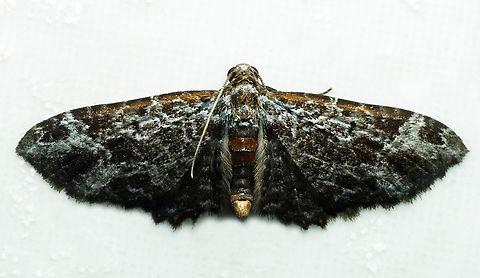 #1291 Dapa, Valle Del Cauca
2100m