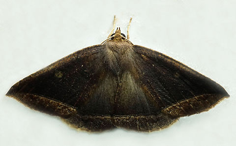 #1322 Dapa, Valle Del Cauca
2100m