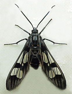 #1378 Dapa, Valle Del Cauca
2100m