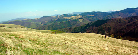 Landscape  Geotagged,Hills,Mountains,Romania,tree