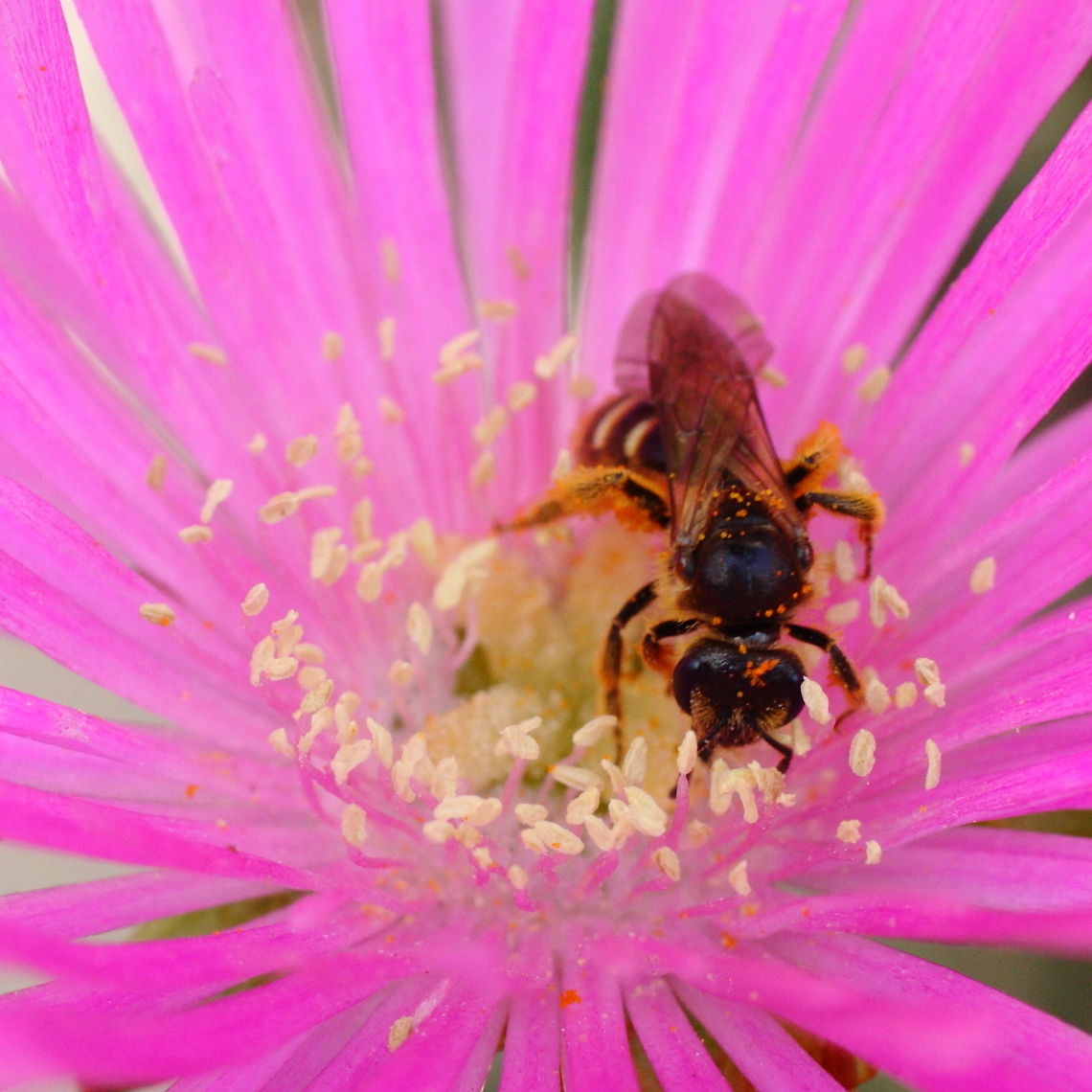 ...  Geotagged,Romania