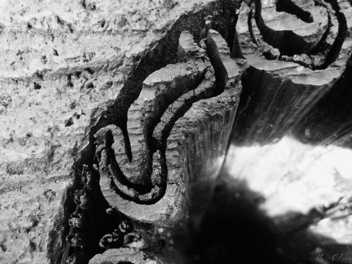 Patterns of Nature