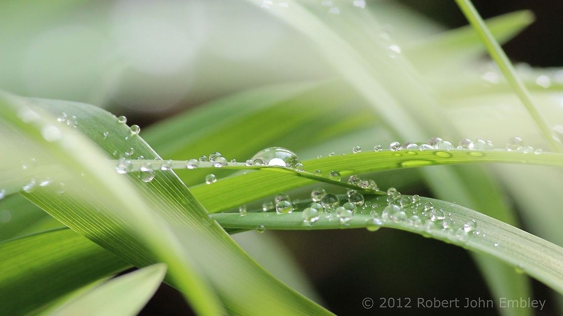Water Droplets  Geotagged,United Kingdom