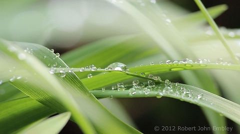 Water Droplets  Geotagged,United Kingdom