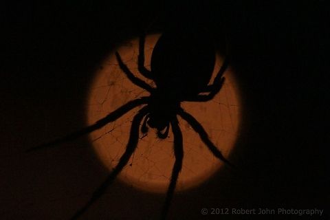 Cobwebbed Moon.  Geotagged,United Kingdom