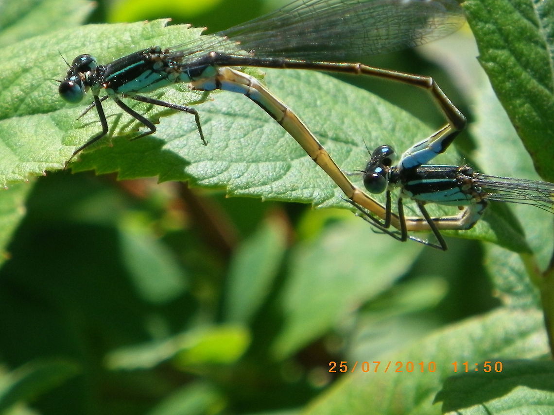 IMGP0016  Geotagged,Norway