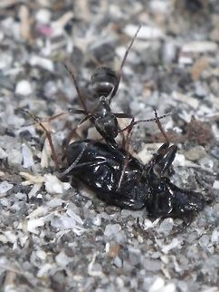 IMGP0414  Geotagged,Norway