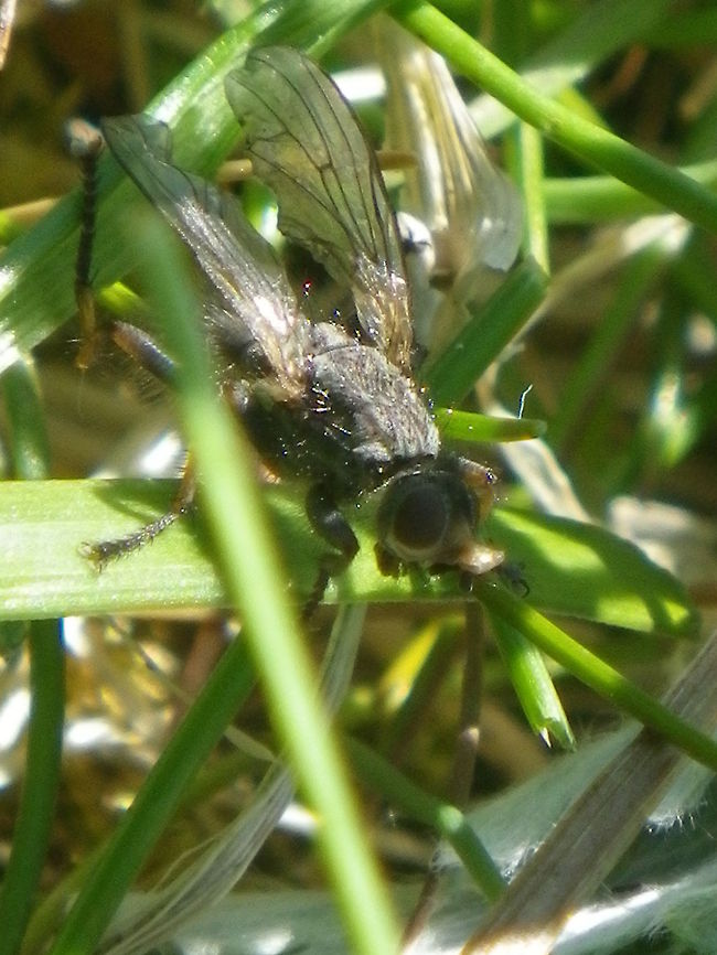 IMGP0633  Geotagged,Norway