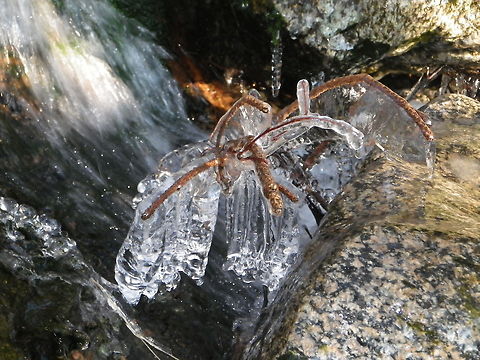 Winter in Norway, partially frozen watefall  Geotagged,Norway
