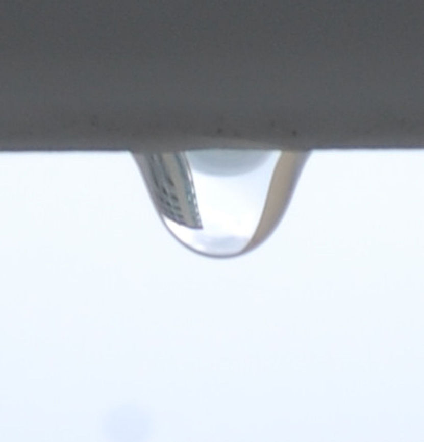 the basis A water droplet is all it took.From a biological standpoint, water has many distinct properties that are critical for the proliferation of life  water