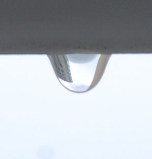 the basis A water droplet is all it took.From a biological standpoint, water has many distinct properties that are critical for the proliferation of life  water