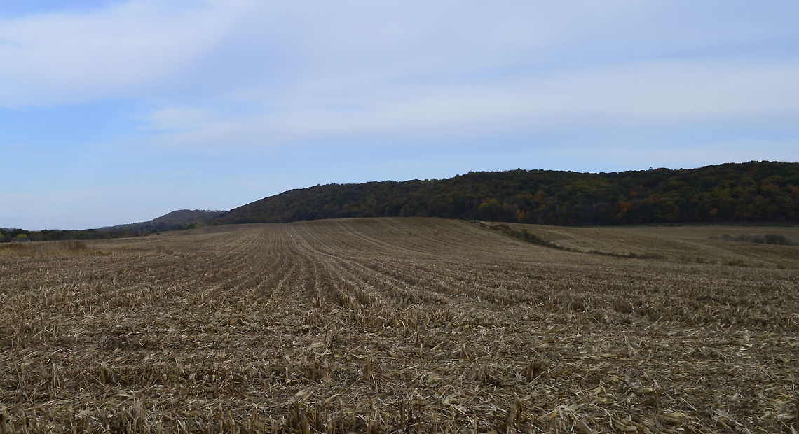 Harvested field  natural,nature