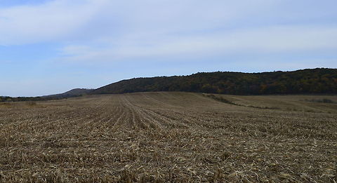 Harvested field  natural,nature