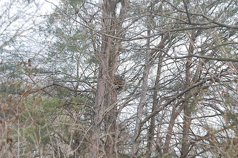 My playground,  Plant,flora,floral,nature