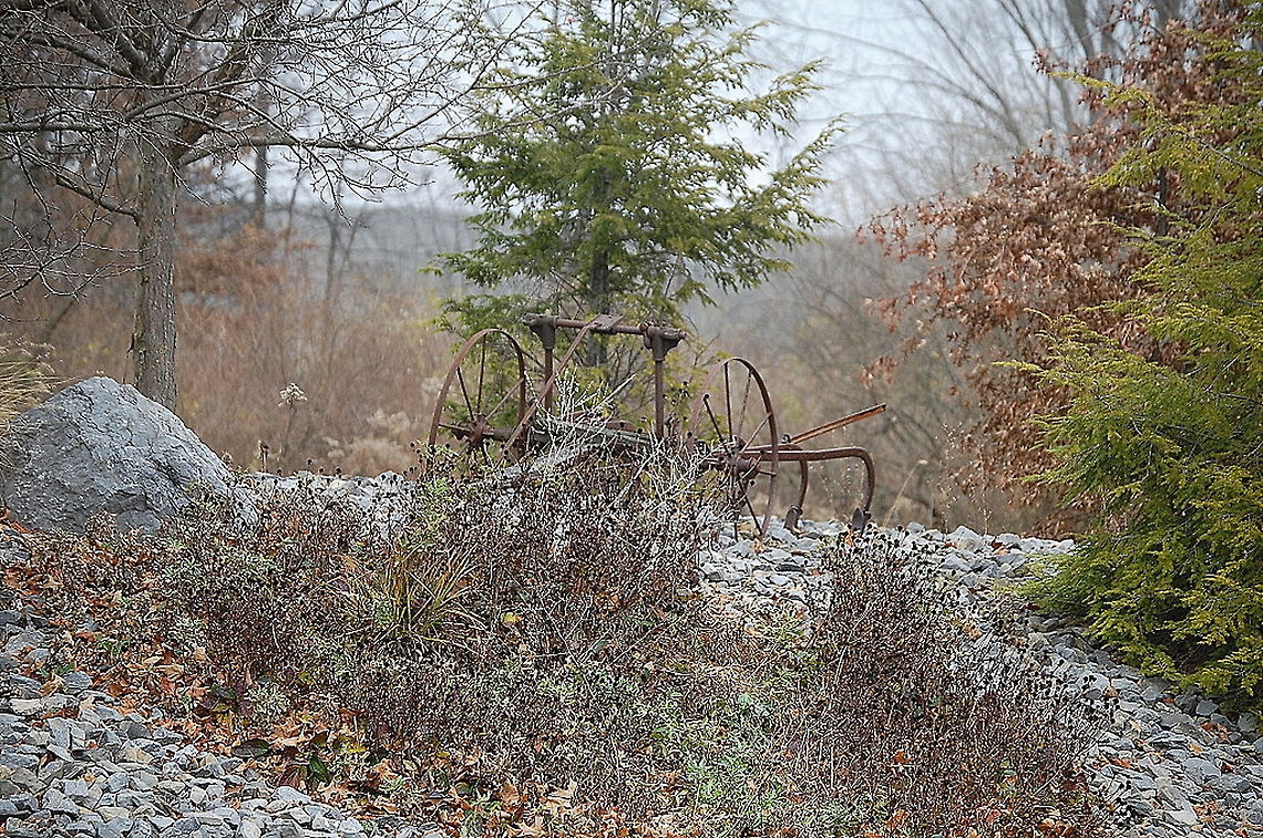 Old farm equipment  still-life