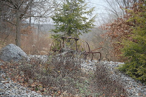 Old farm equipment  still-life