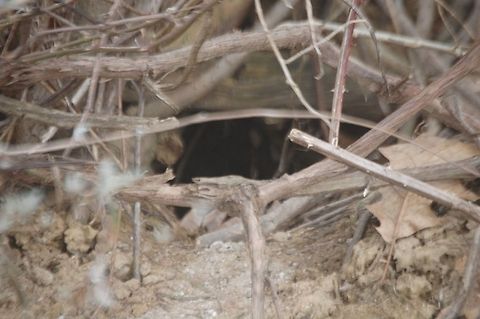 deep dark hole what lays beneath ? nature