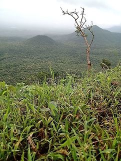 IMG_20200828_123854902  Geotagged,India,Summer