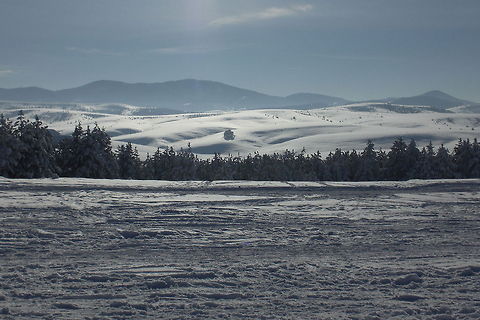 Zlatibor landscape Zlatibor is a mountain region situated in the western part of Serbia, a part of the Dinaric Alps. Landscapes,Serbia,Zlatibor