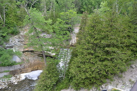Point forks forest and river the river and some forest pointforks  river