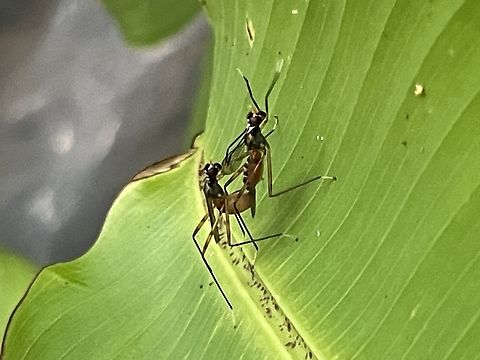 F861ABC7-D940-4824-867B-31388CC00F6C