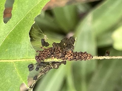 BD96BD9B-A5DF-4DF5-9D5E-577AE3736619