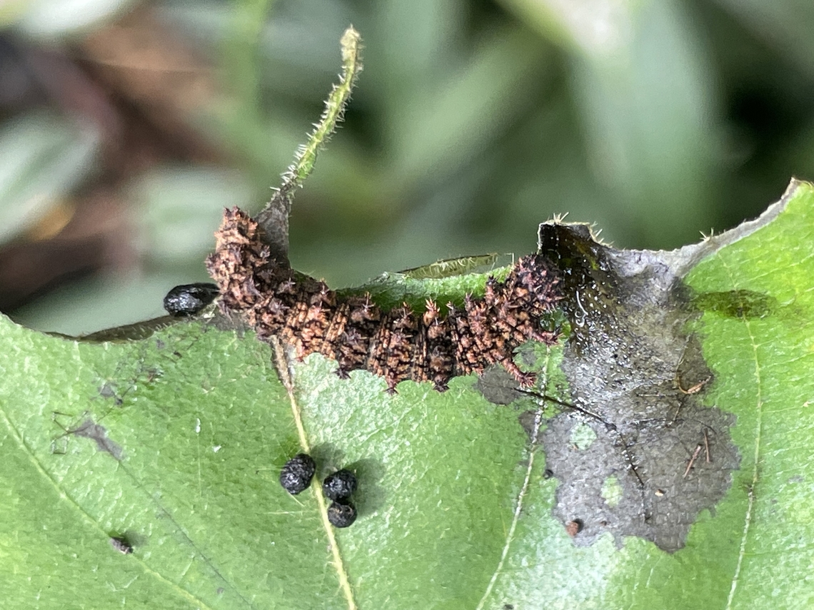 9BA21ED8-00D3-46C3-872C-14C6B2D3B0EE