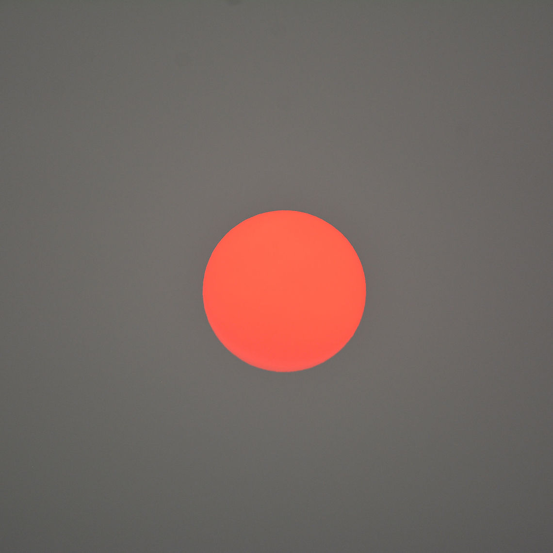 Pre Christmas Sun The evening sun seen through bushfire smoke in the Blue Mountains NSW  Australia,Geotagged,Natural events,Spring,Sun,bushfires,smoke