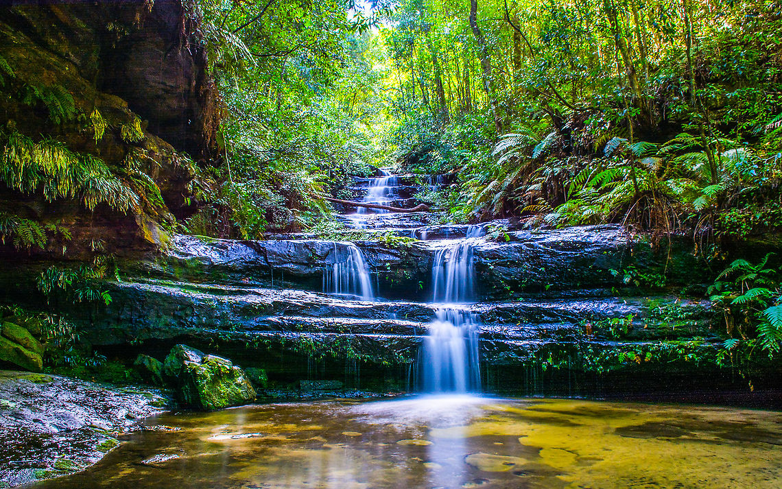 Terrace Falls One of a few falls encountered on a bushwalk in Hazelbrook NSW.<br />
Need to wait for a few days after rain to see it like this. Australia,Blue Mountains,Fall,Geotagged,Hazelbrook,Waterfall