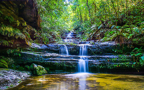 Terrace Falls One of a few falls encountered on a bushwalk in Hazelbrook NSW.
Need to wait for a few days after rain to see it like this. Australia,Blue Mountains,Fall,Geotagged,Hazelbrook,Waterfall
