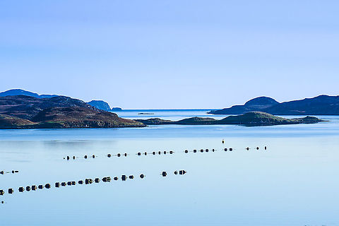 Loch Erisort - Isle of Lewis Beautiful Vista. This Sea Loch is very enchanting.  Fall,Geotagged,Isle of Lewis,Loch Erisort,United Kingdom