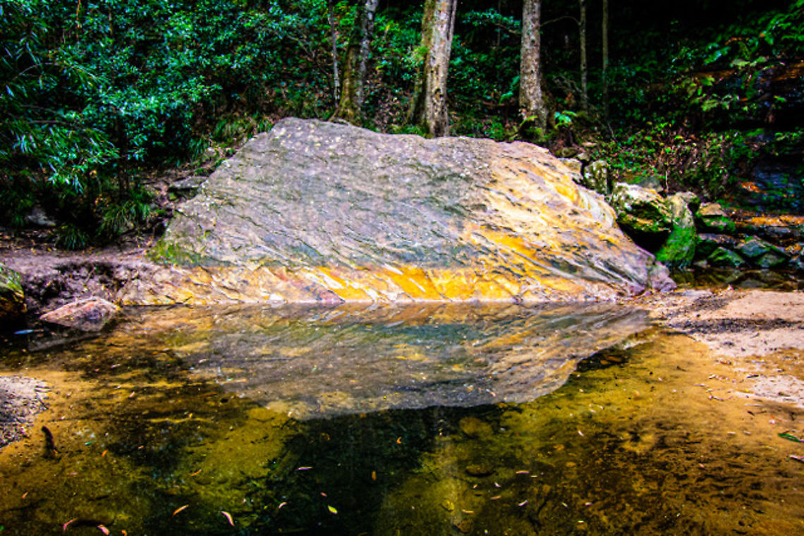 Reflection On a waterfall walk at Hazelbrook NSW Australia,Fall,Geotagged,Hazelbrook,Waterfall