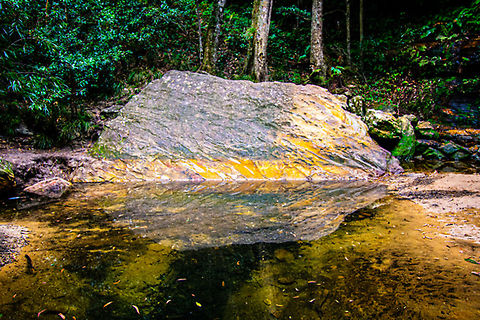 Reflection On a waterfall walk at Hazelbrook NSW Australia,Fall,Geotagged,Hazelbrook,Waterfall
