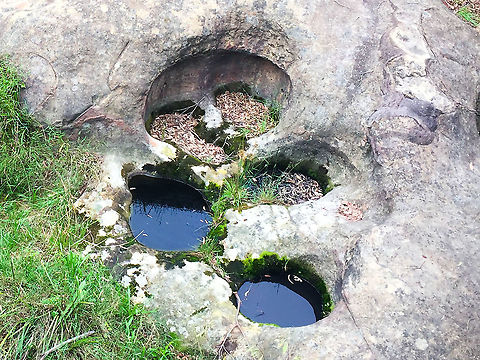 Aboriginal Wells A cluster of Aboriginal wells beside the Highway at the southern entrance to Gloria Park at Hazelbrook. There were originally twenty wells known there, but some have been covered by road widening. Aboriginal wells,Australia,Fall,Geotagged,Hazelbrook NSW